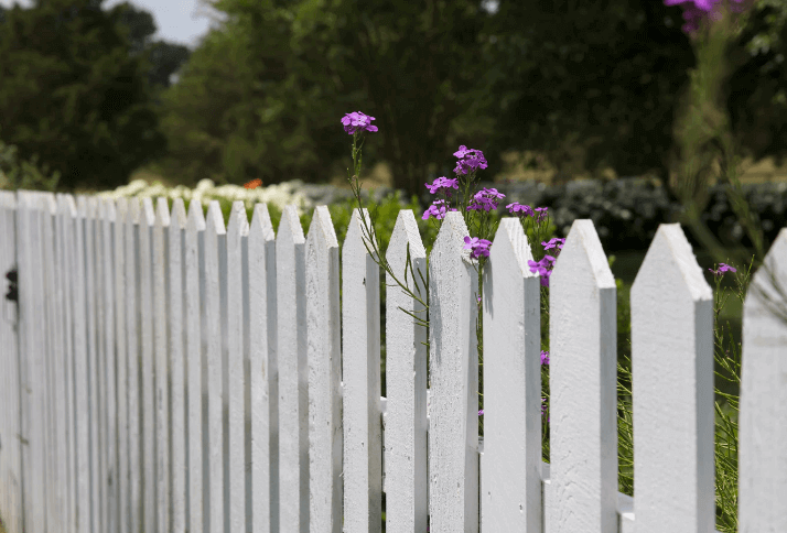 Fence Painted White.