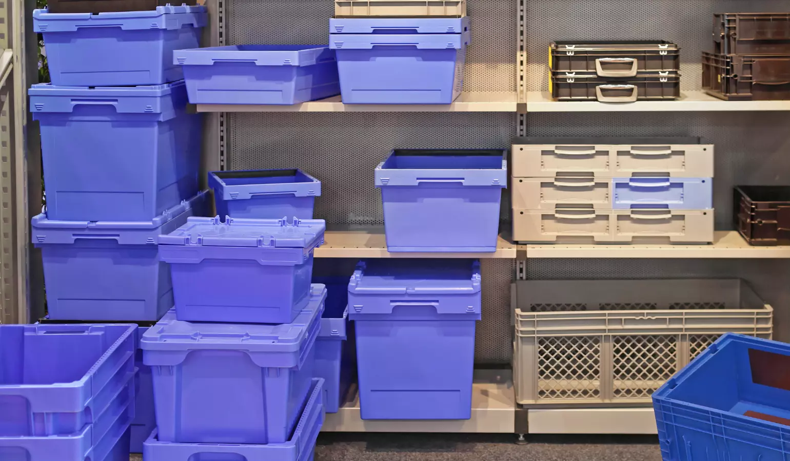 Are Plastic Boxes Good for Long-Term Storage